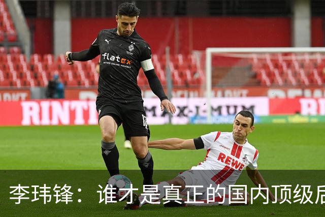 李玮锋：谁才是真正的国内顶级后腰？一起来分析